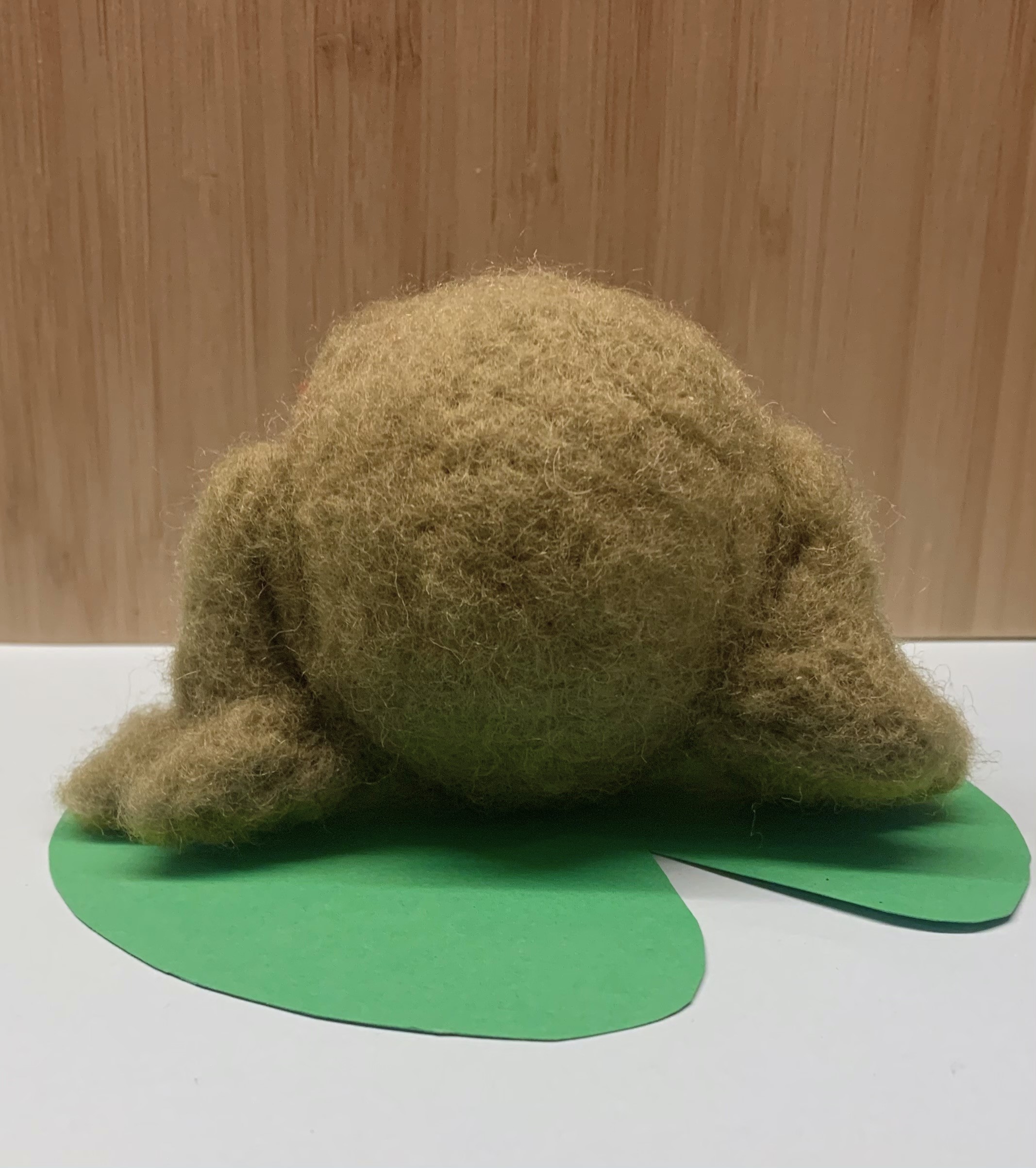 Achterkant Kikkertje